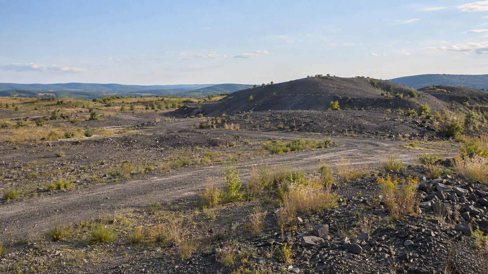 Computer-generated concept of former coal land with low culm banks and sparse regrowth; not the project site